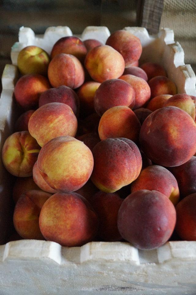 429400_369678186391221_221923865_n